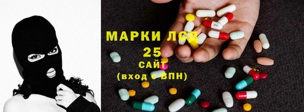 мдпв Абаза