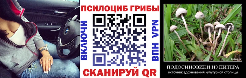 Галлюциногенные грибы Cubensis  kraken ссылки  Яхрома 