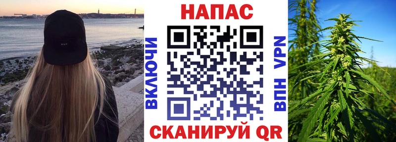 Каннабис сатива  Яхрома 